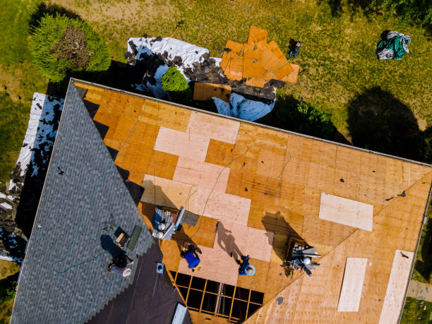 Roof Gutter Cleaning in Manteca, CA